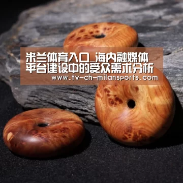 米兰体育入口_海内融媒体平台建设中的受众需求分析(图2) 米兰体育入口_海内融媒体平台建设中的受众需求分析(图2)